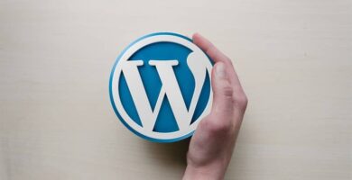 wordpress mano 1