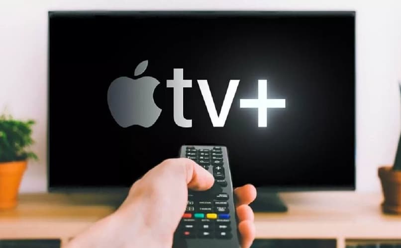 omena tv televisiossa