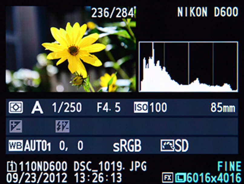 exif -datakamera