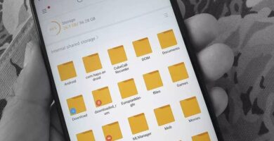 Kuinka siirtää WhatsApp SD -kortille Androidissa - helposti 47 aplicacion galeria archivos android 14374