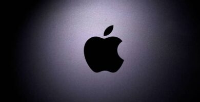 apple logo 14470