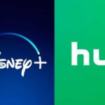 disney hulu 14839