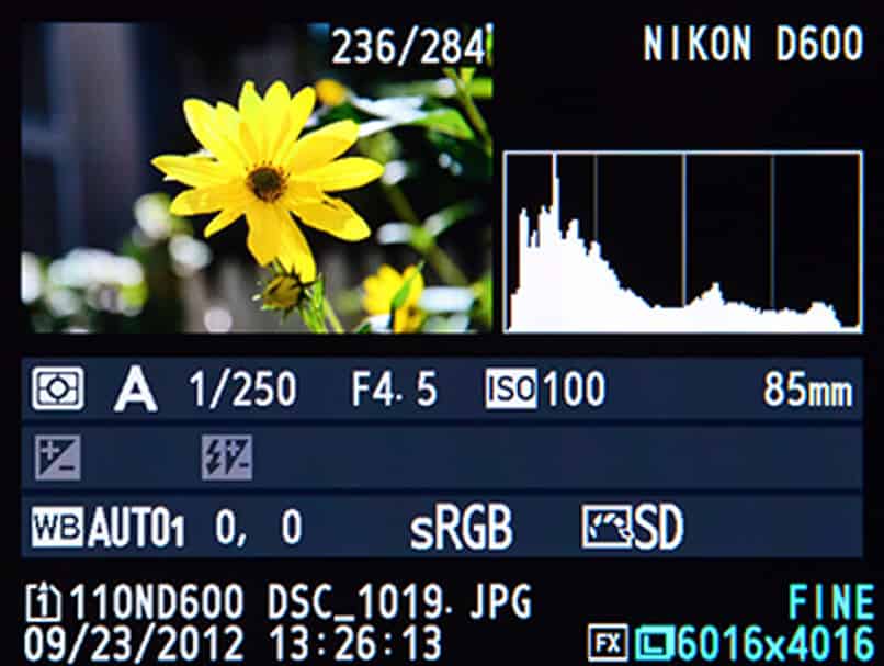 Exif -metatietojen käyttäminen ja purkaminen - Täydellinen opas 1