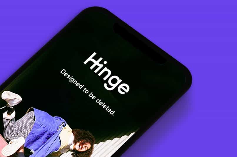 hinge 14816