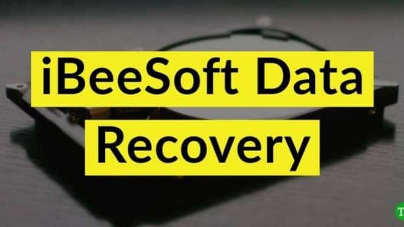 ibeesoft data recovery 14516
