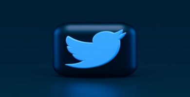Kuinka korjata "Twitter on pysähtynyt" -virhe Androidissa 12 logo twitter aplicacion 14324