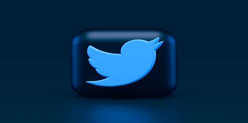 Kuinka korjata "Twitter on pysähtynyt" -virhe Androidissa 1 logo twitter aplicacion 14324