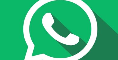 WhatsApp: Tiedä, onko yhteyshenkilö muuttanut numeroaan ja lisää se uudelleen 41 whatsapp logo