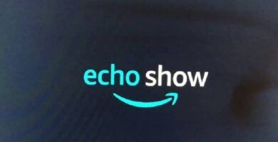echo show logo 18536