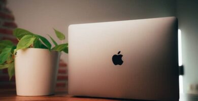 Kuinka asentaa uusia kirjasimia Macille kirjasinkirjan avulla yksinkertaisella tavalla 6 mac book 18522