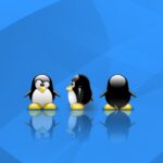 pinguino linux 18605