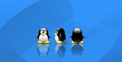 pinguino linux 18605